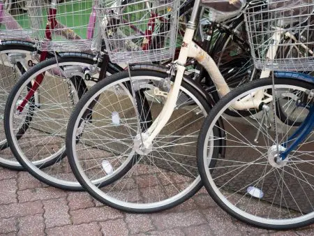 集客　出張販売